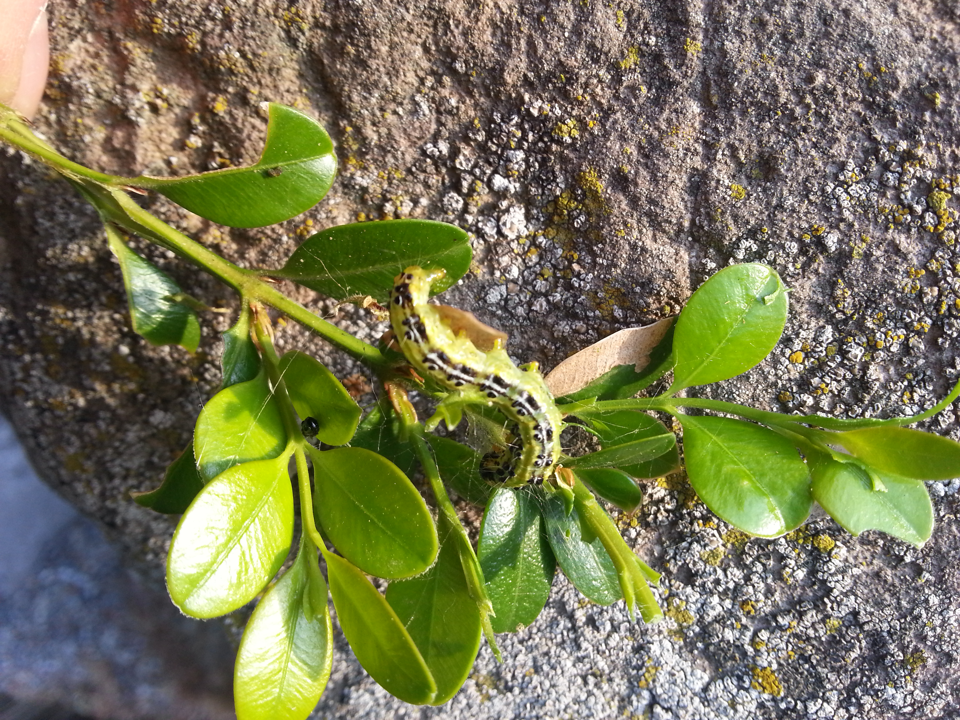 20140406_184512[1]