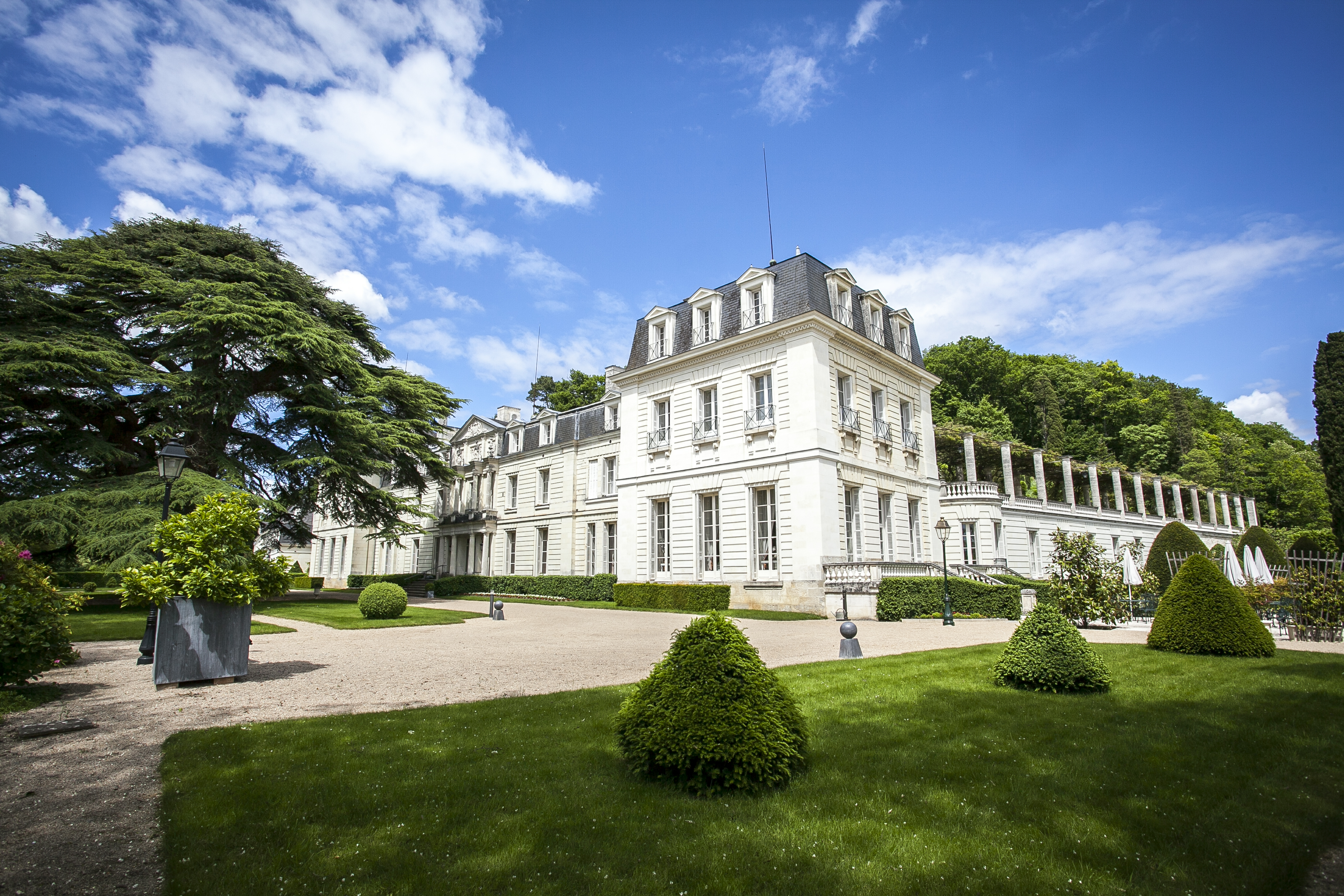 Pyrale du buis mars 2018