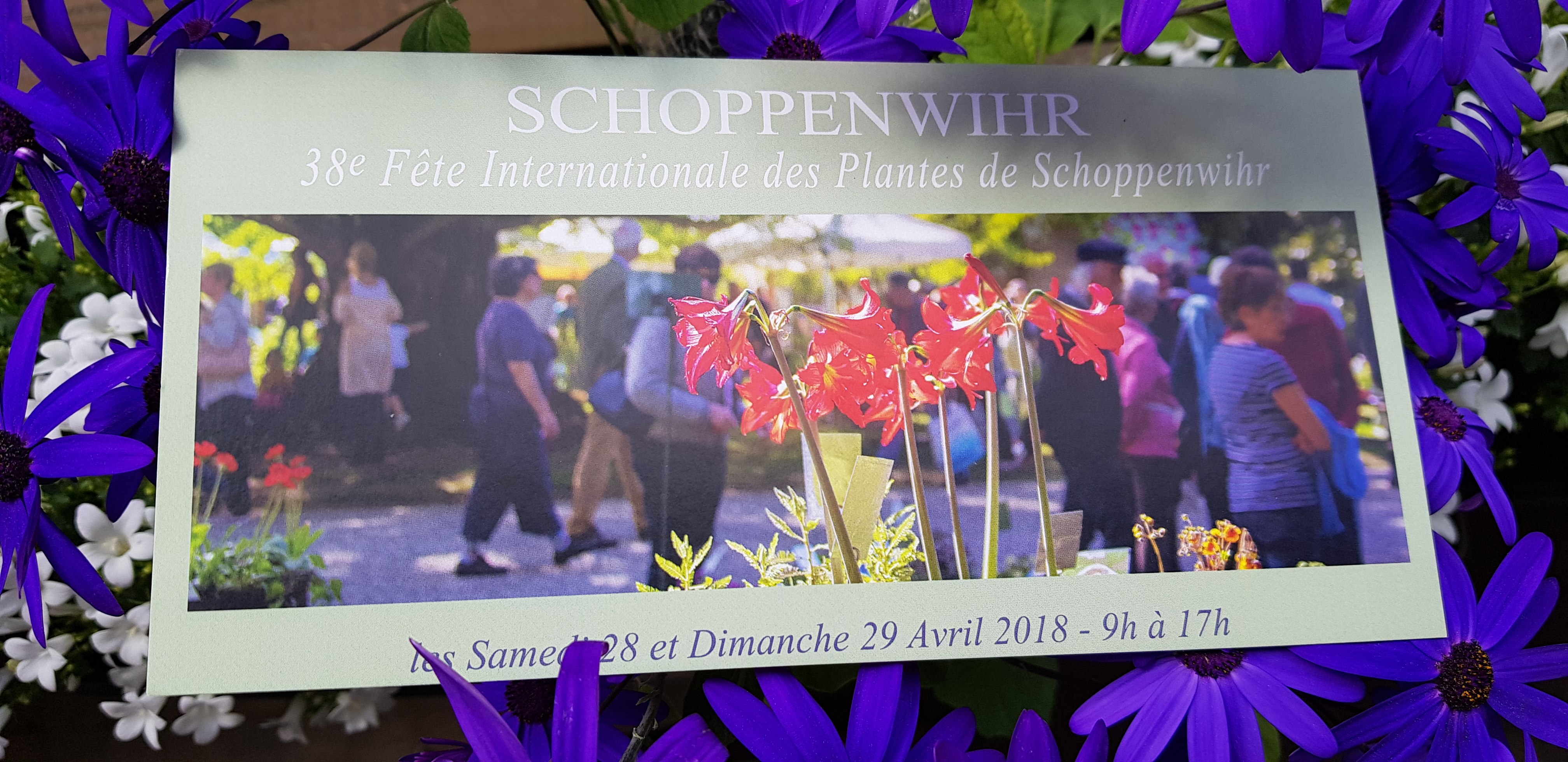 38ème Fête Internationale des Plantes de Schoppenwihr – 28 et 29 Avril 2018