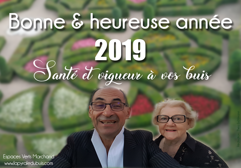 Vœux 2019