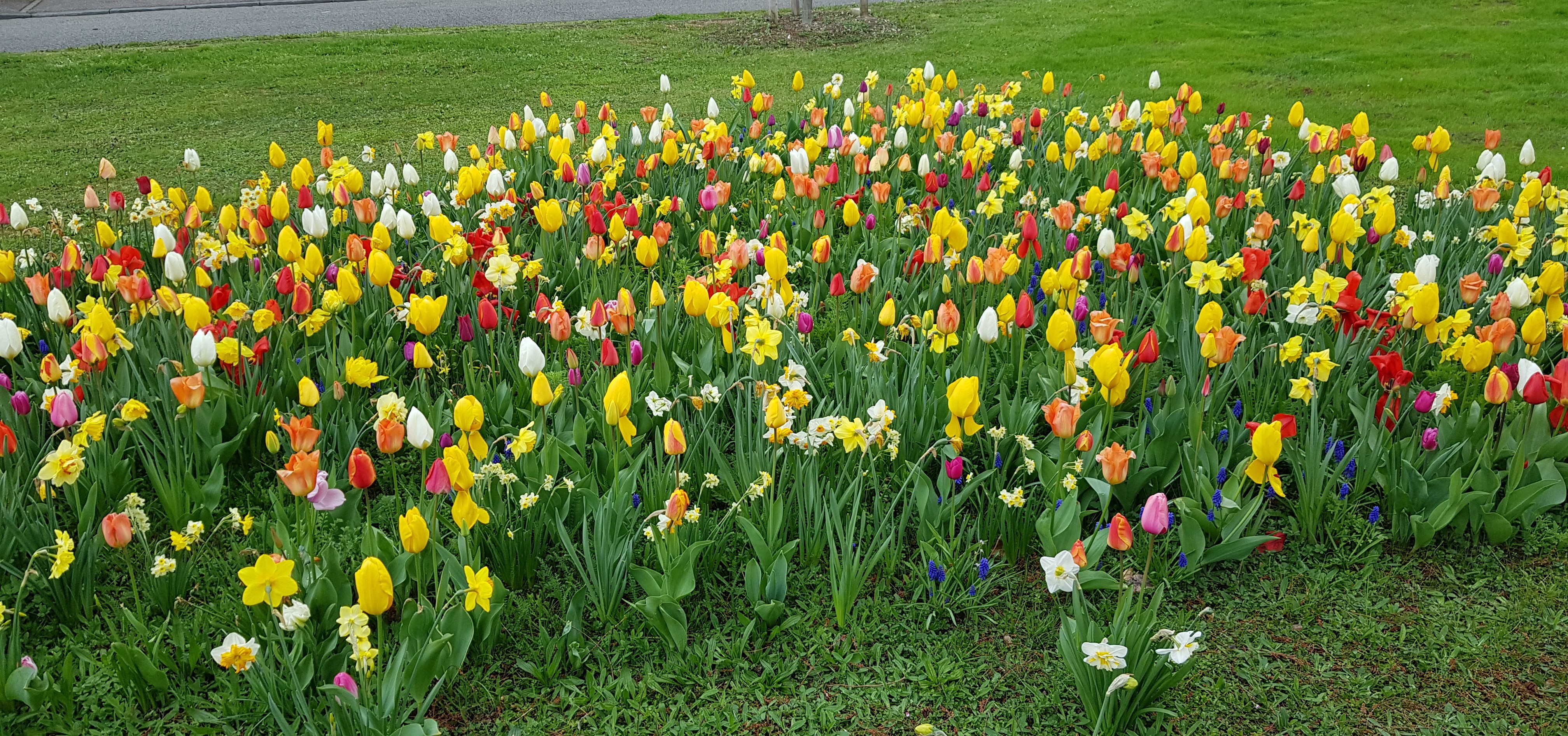 https://old.lapyraledubuis.com/wp-content/uploads/2019/04/Photo-CM-Boecklin-14-04-19.jpg