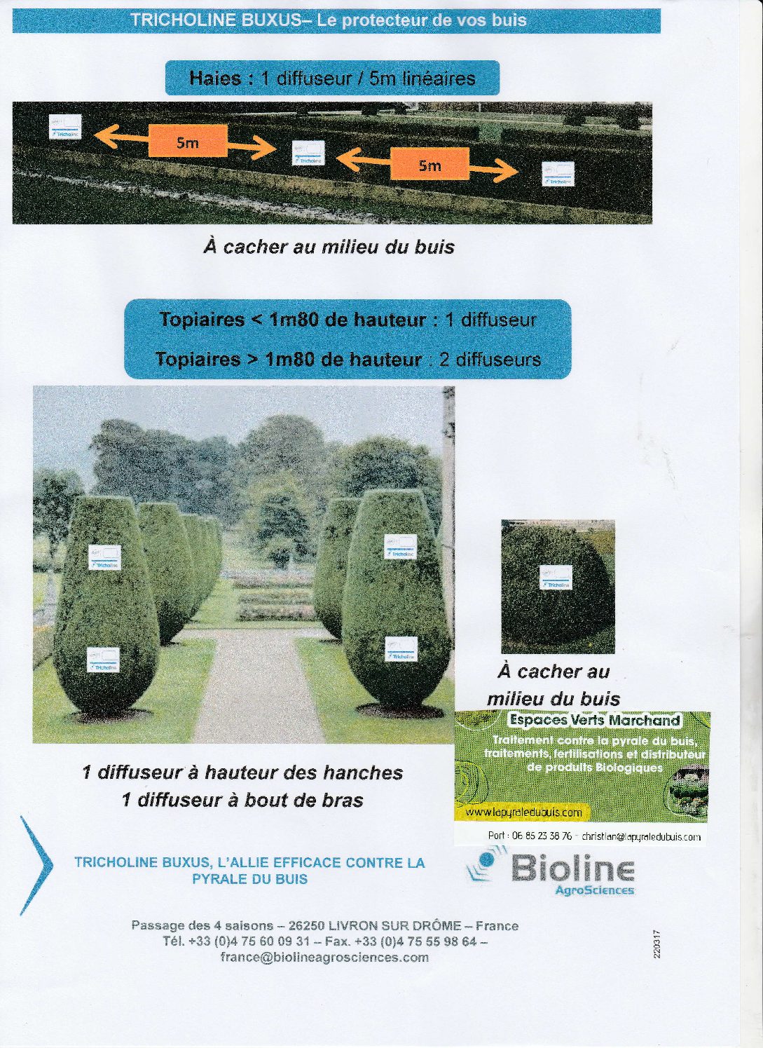 Trichogrammes contre la pyrale du buis "Tricholine®Buxus" – Image 10