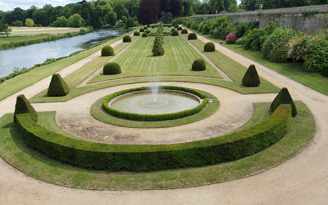 Pyrale du buis-JUILLET 2019-TRICHOLINE®BUXUS