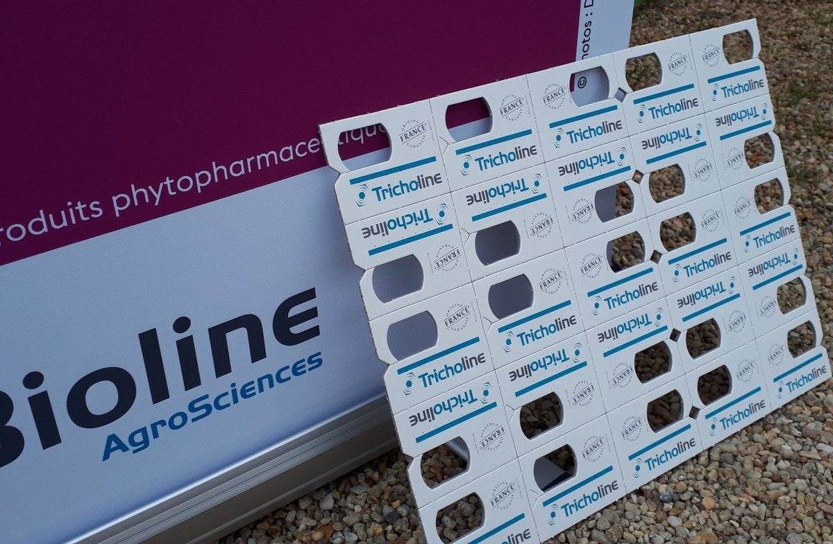 Trichogrammes contre la pyrale du buis "Tricholine®Buxus" – Image 7
