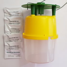 Bux-atrapJaune+5 diffuseurs
