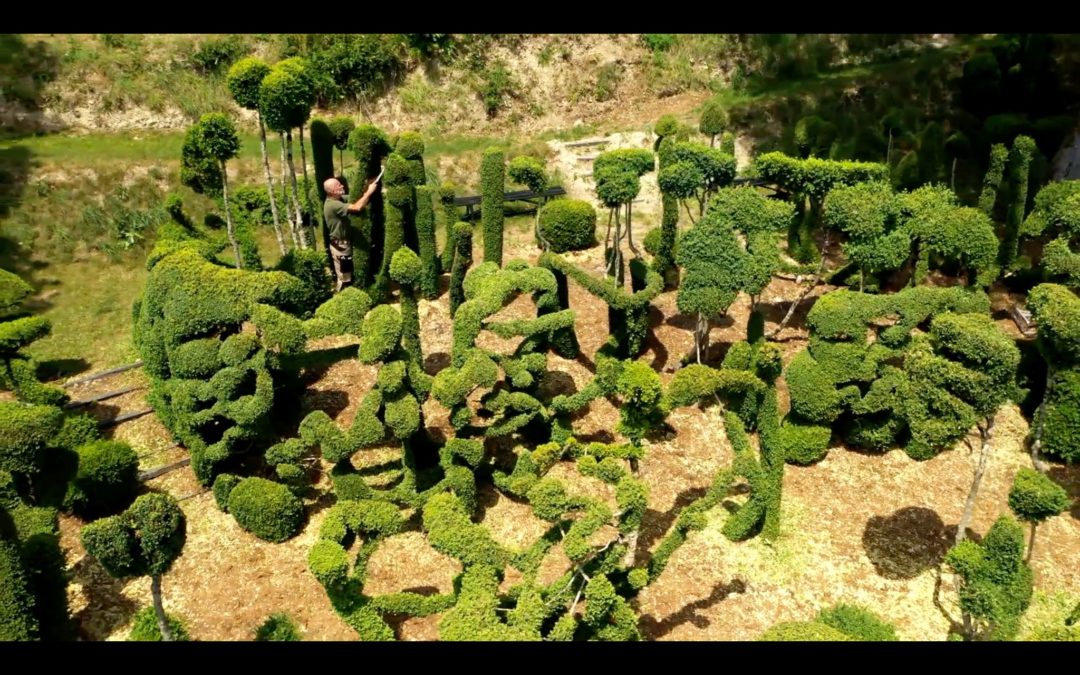 EBTS 2019 Maitre Thierry avec 1200 topiaires au prieuré de Vauboin