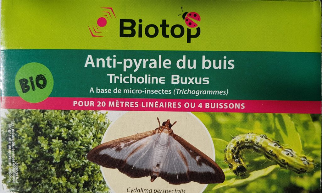 Boîte de 4 Tricholine®Buxus