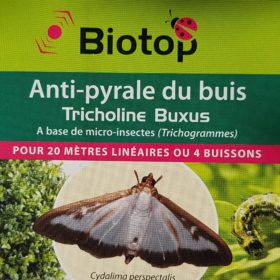 Tricholine Buxus