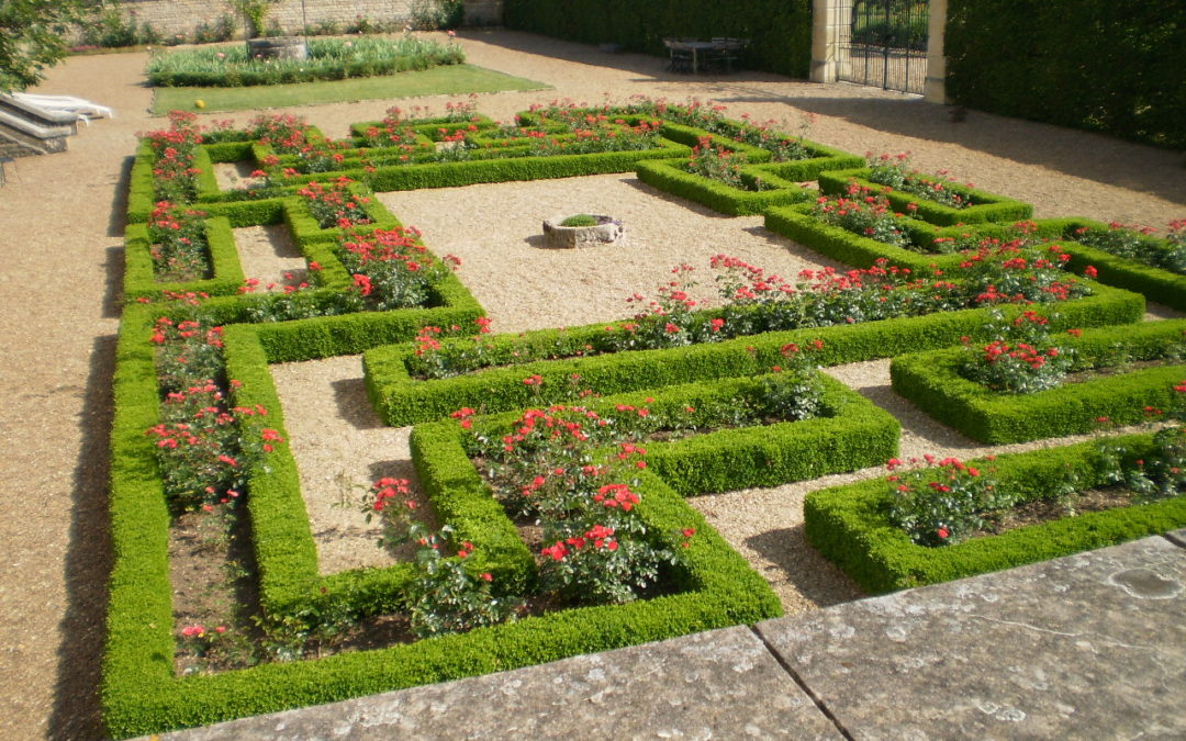 Pyrale du buis  Tricholine®Buxus