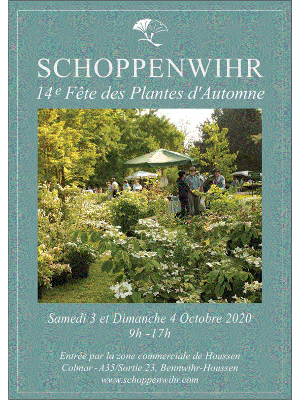 Schoppenwihr automne 2020 Schoppenwihr automne 2020