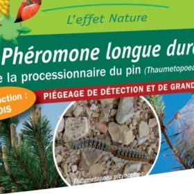 Phéromones 6 mois Processionnaire du pin 1x unité