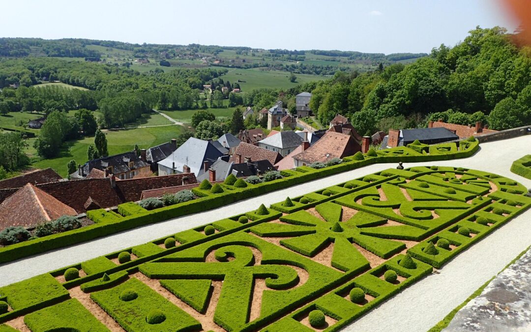 Pyrale du buis juin 2021