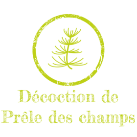 Décoction de Prêle des champs