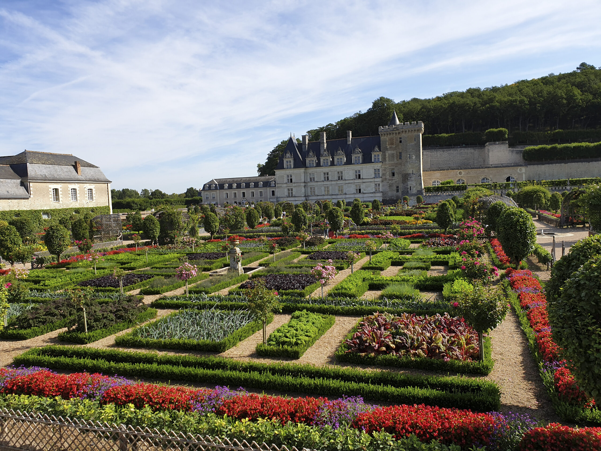 Jardins au château de VILLANDRY aménagé partiellement avec des BETTER-BUXUS variété Héritage