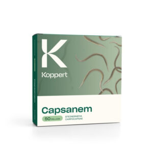 Capsanem